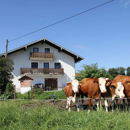 Haslacher Hof Διαμέρισμα Waging am See