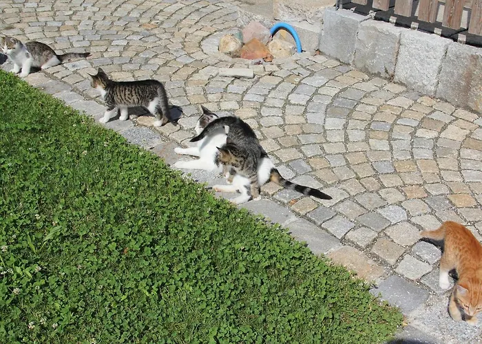 דירה Haslacher Hof באגינג אם זי